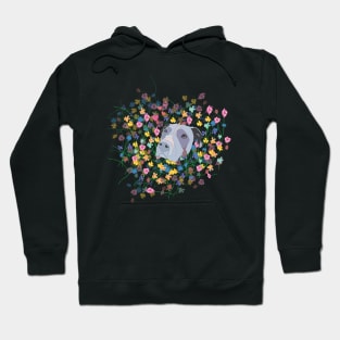 Pitbull lover Hoodie